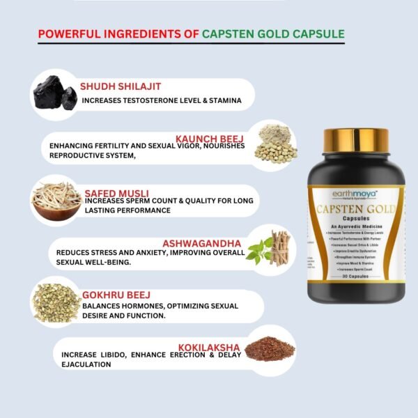 Capsten Gold Ayurvedic Medicine - Image 3